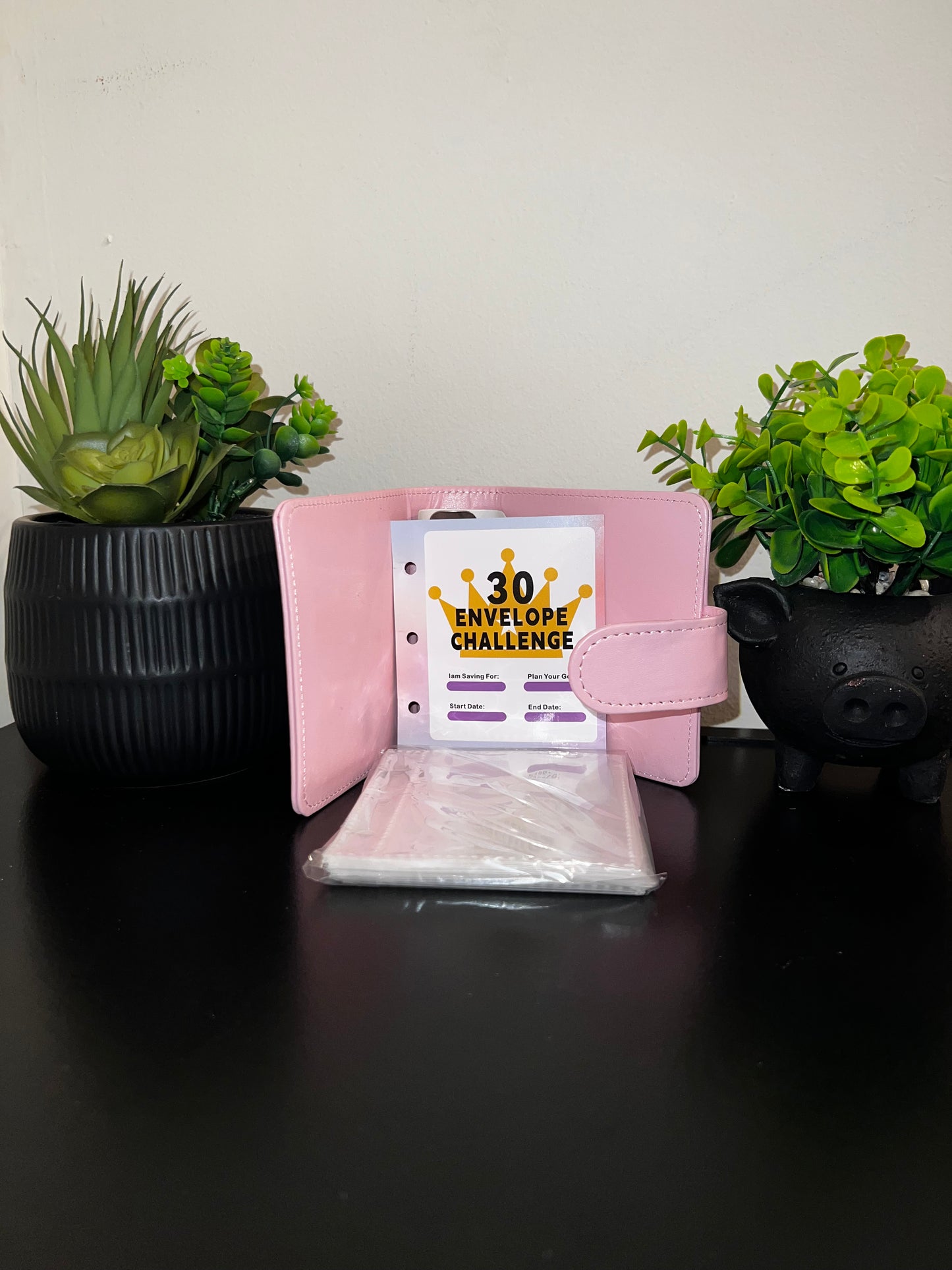 30 Envelope Savings Challenge Binder