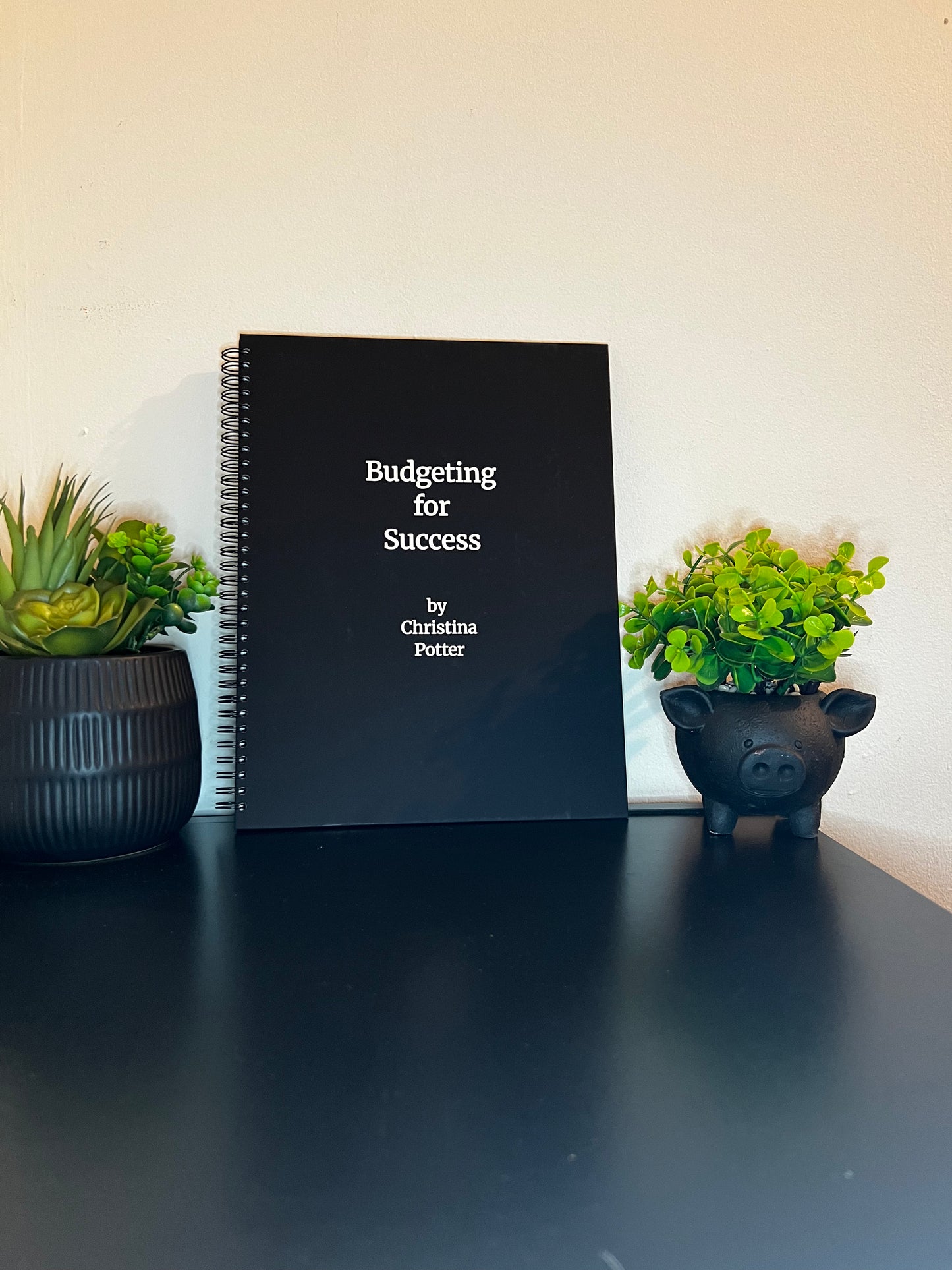 Bi-weekly Budget Workbook
