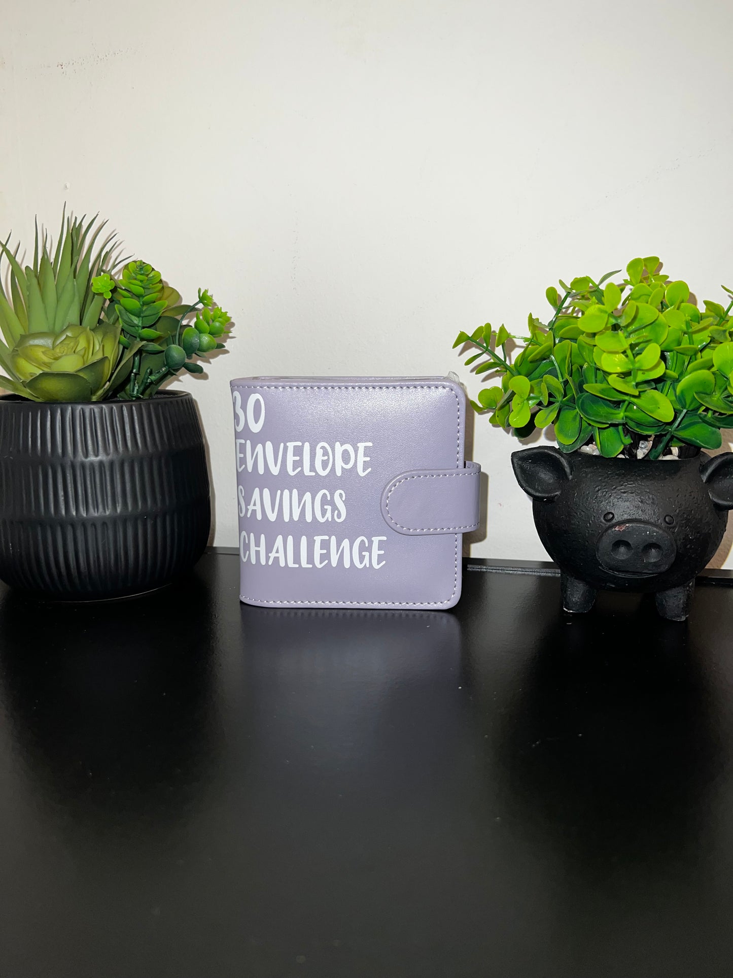 30 Envelope Savings Challenge Binder