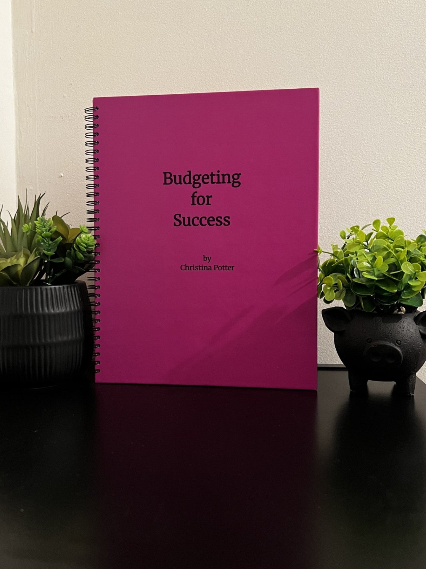 Bi-weekly Budget Workbook