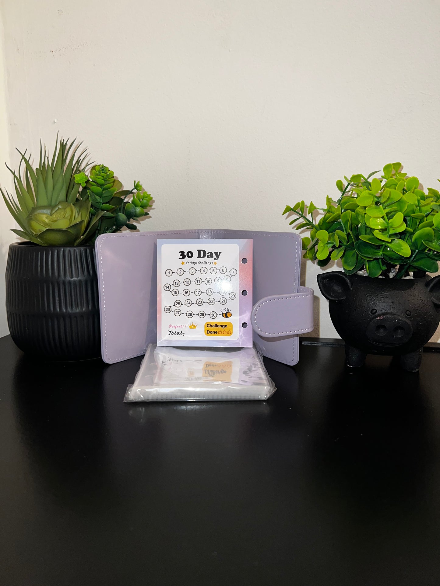30 Envelope Savings Challenge Binder