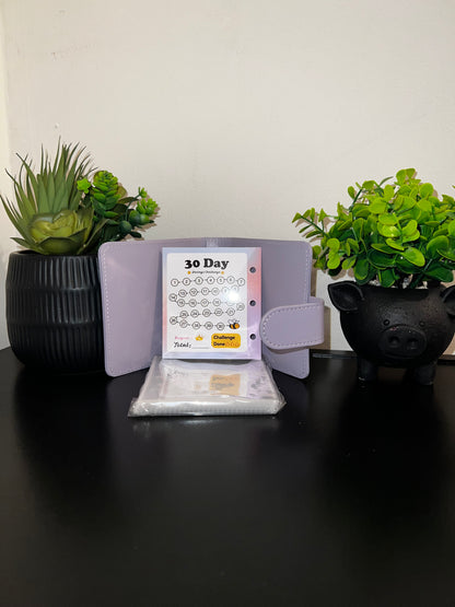 30 Envelope Savings Challenge Binder