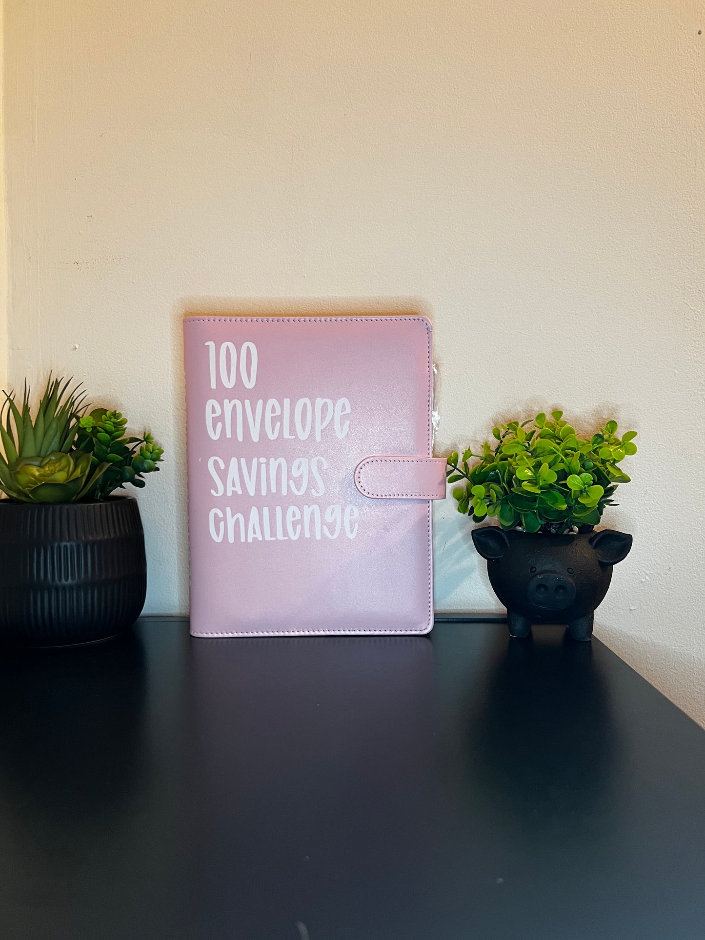 100 Envelope Savings Challenge binder